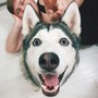 Аватара пользователя